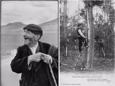 貝雷帽究竟要怎么選才好！