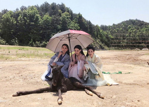 出游季夏曰炎炎，草帽加連衣裙絕對是標配，暑期防曬全攻略！